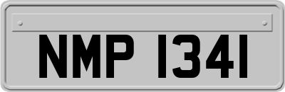 NMP1341