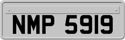 NMP5919