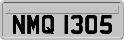 NMQ1305
