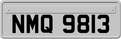 NMQ9813