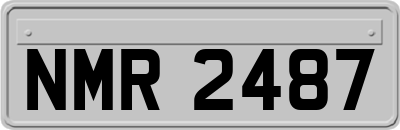 NMR2487