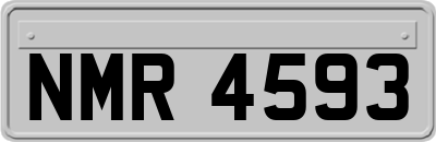 NMR4593