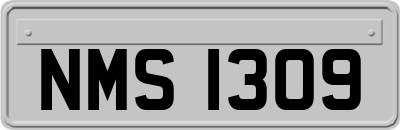 NMS1309