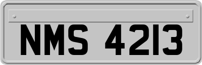 NMS4213