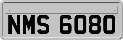 NMS6080