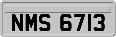 NMS6713
