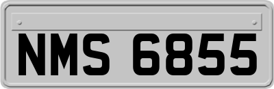 NMS6855