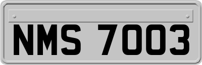 NMS7003