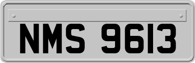 NMS9613