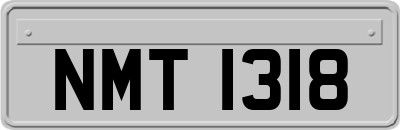 NMT1318