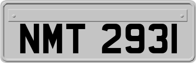 NMT2931