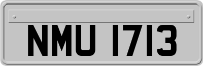 NMU1713