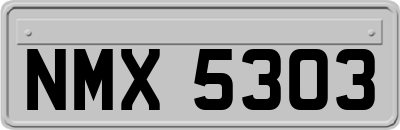 NMX5303