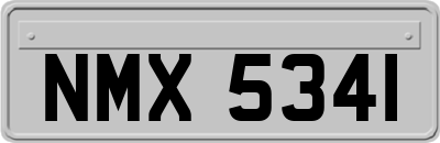NMX5341
