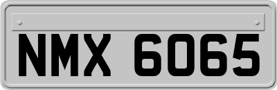 NMX6065
