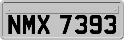 NMX7393