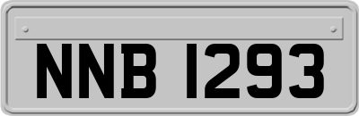 NNB1293