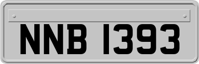 NNB1393