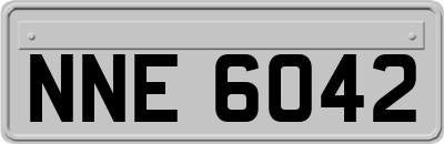 NNE6042