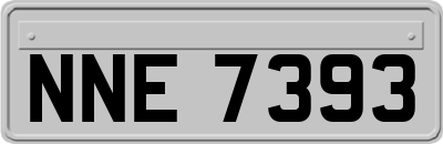 NNE7393