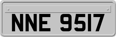 NNE9517