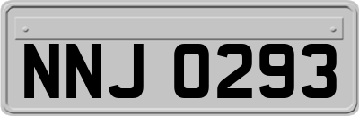 NNJ0293