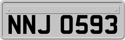 NNJ0593
