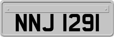 NNJ1291