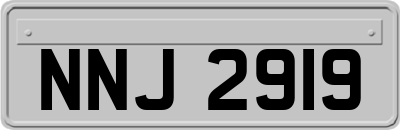 NNJ2919