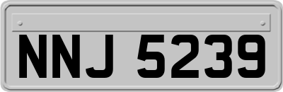 NNJ5239