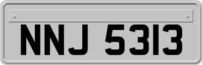 NNJ5313