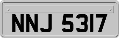 NNJ5317