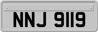 NNJ9119
