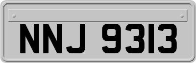NNJ9313
