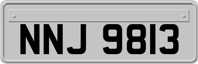 NNJ9813
