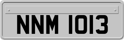 NNM1013