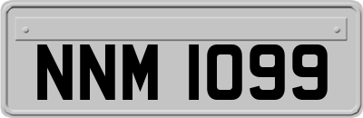 NNM1099