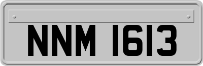 NNM1613