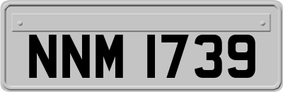 NNM1739