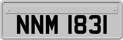 NNM1831
