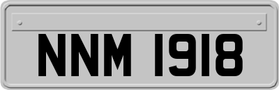 NNM1918