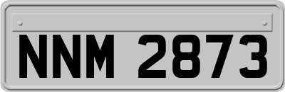 NNM2873