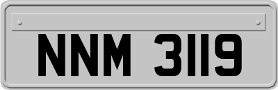 NNM3119