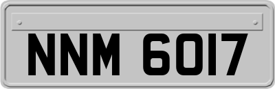 NNM6017