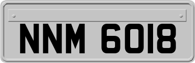NNM6018