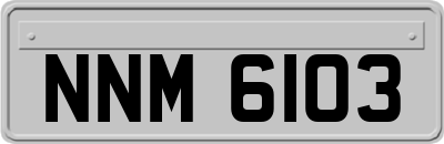 NNM6103