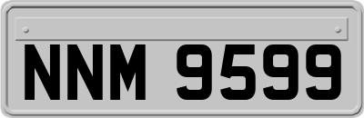 NNM9599