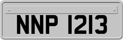 NNP1213