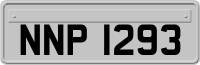NNP1293