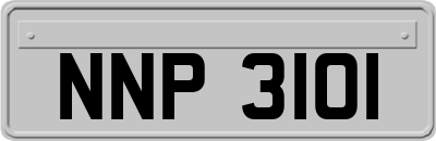 NNP3101